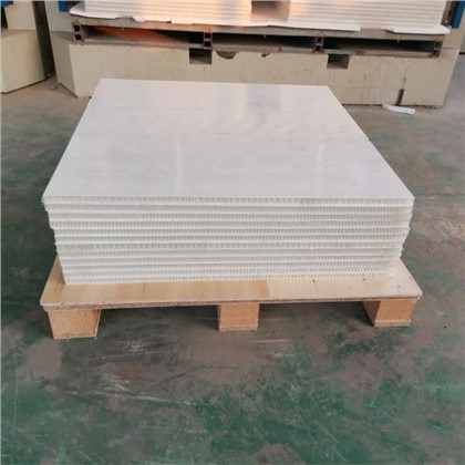 Panell FRP Gelcoat per panell sandvitx composite niu d'abella de PP